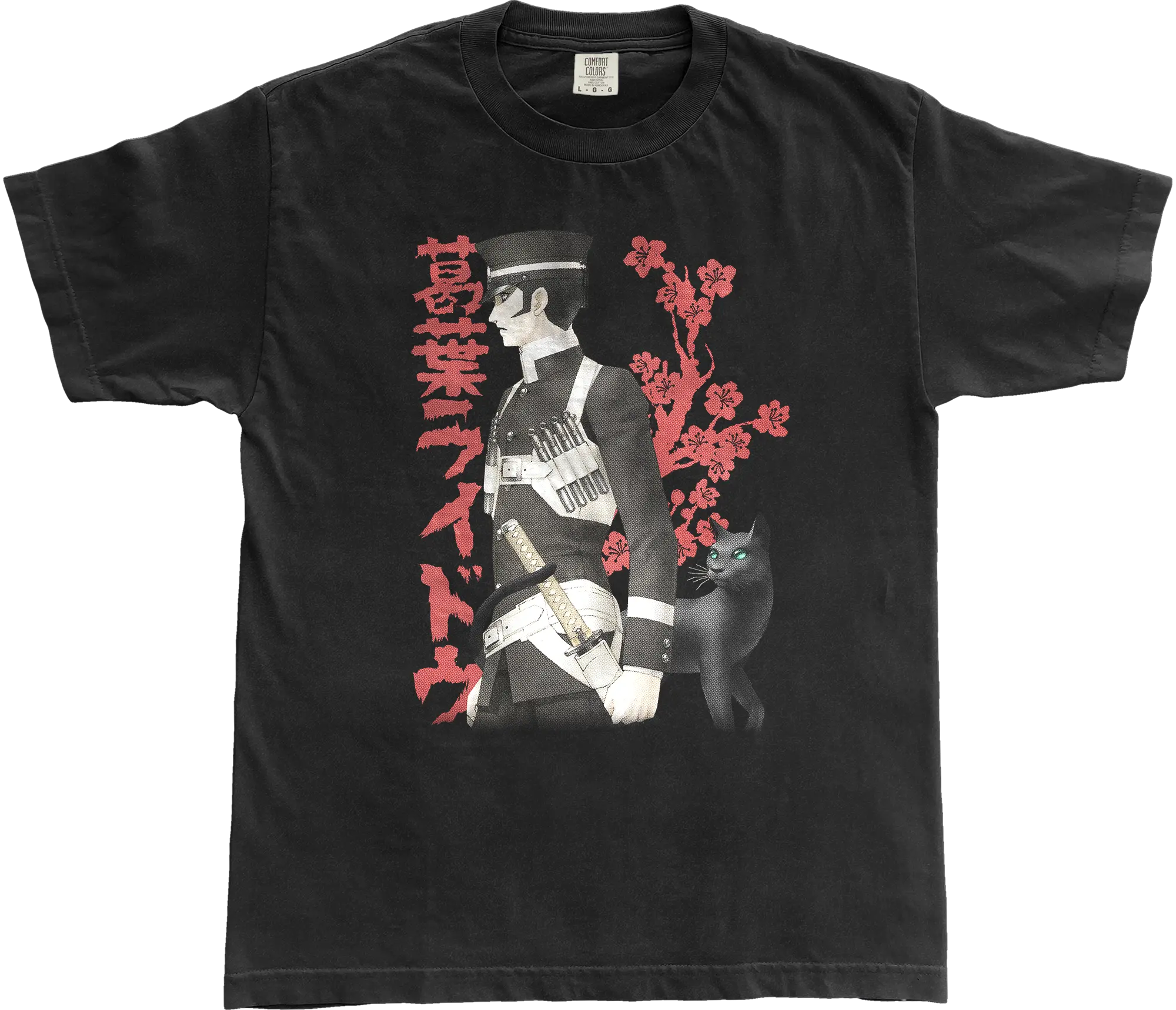 DEVIL SUMMONER RAIDOU