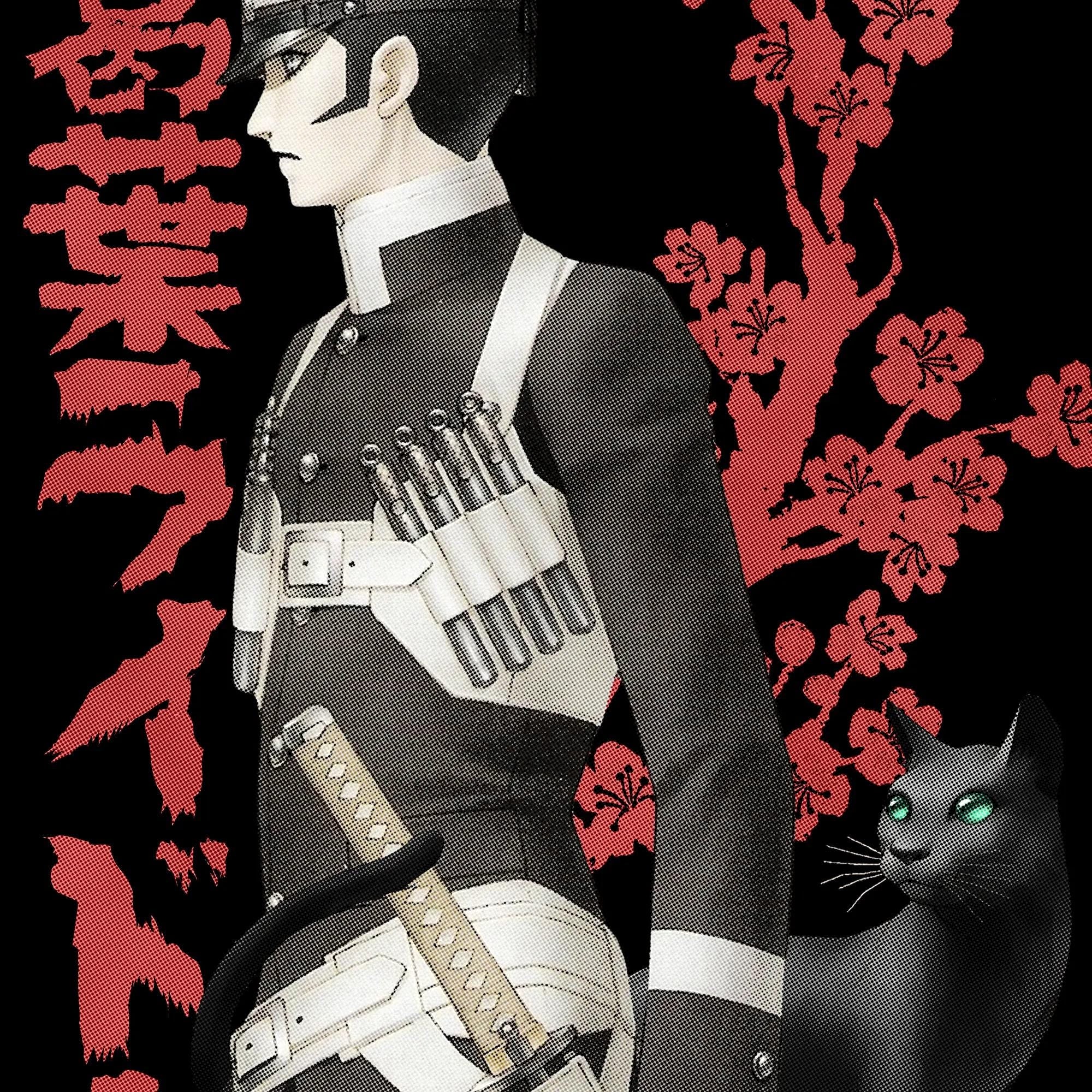 DEVIL SUMMONER RAIDOU